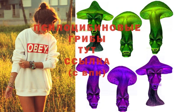 МДПВ Нея