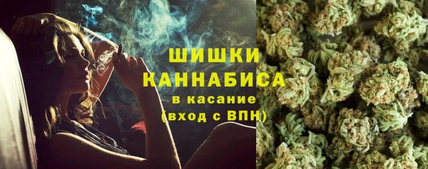 МДПВ Нея