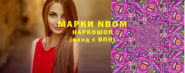 МДПВ Нея