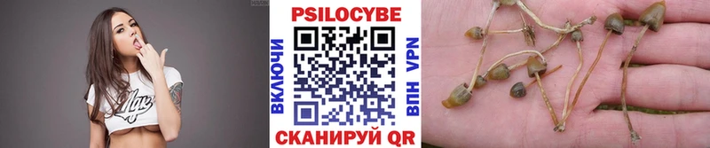 Псилоцибиновые грибы Psilocybe  Краснослободск 
